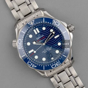 Omega Seamaster Professional