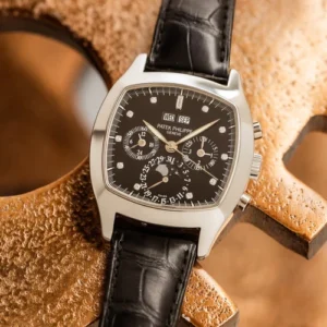 Patek Philippe PERTUAL CALENDAR CHRONOGRAPH MOON-PHASE TV Case Ref-5020-016 950 Platinum Box Papers Bj-Germany 2002